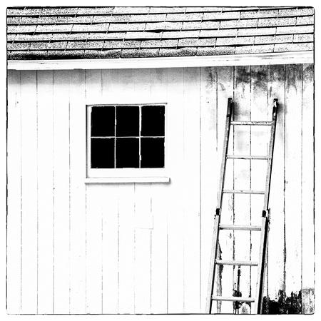 Barn and Ladder